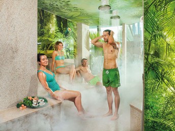 Relaxen unter Palmen Therme Erding