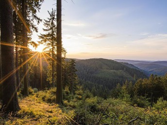 Kleine Auszeit - 5 Tage Sauerland inkl. Abendessen