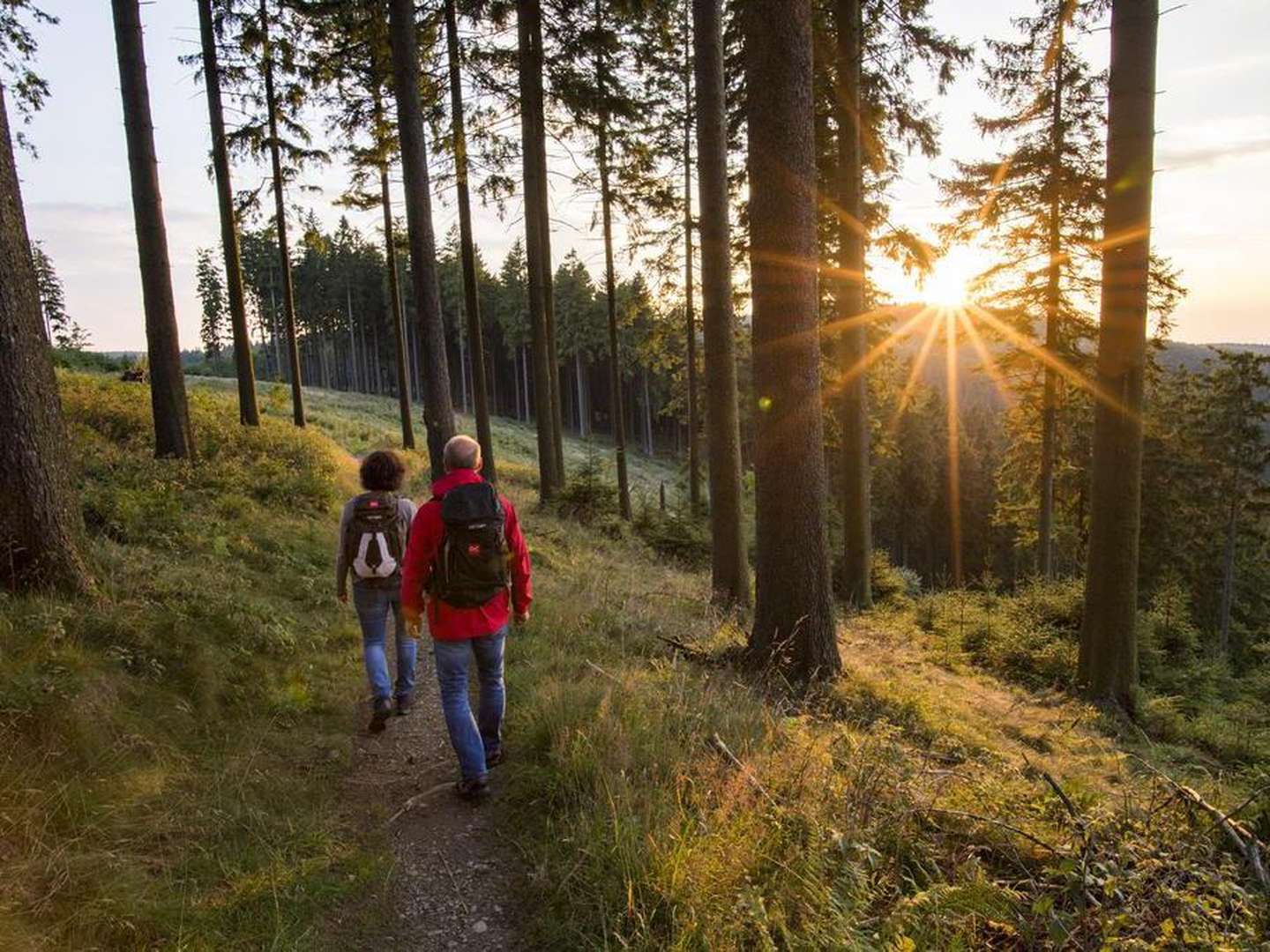 Kurzurlaub - Wandern am Rothaarsteig mit Abendessen