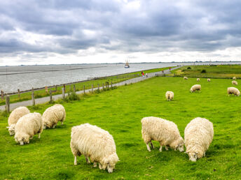 Gönnen Sie sich eine Auszeit an der Nordseeküste