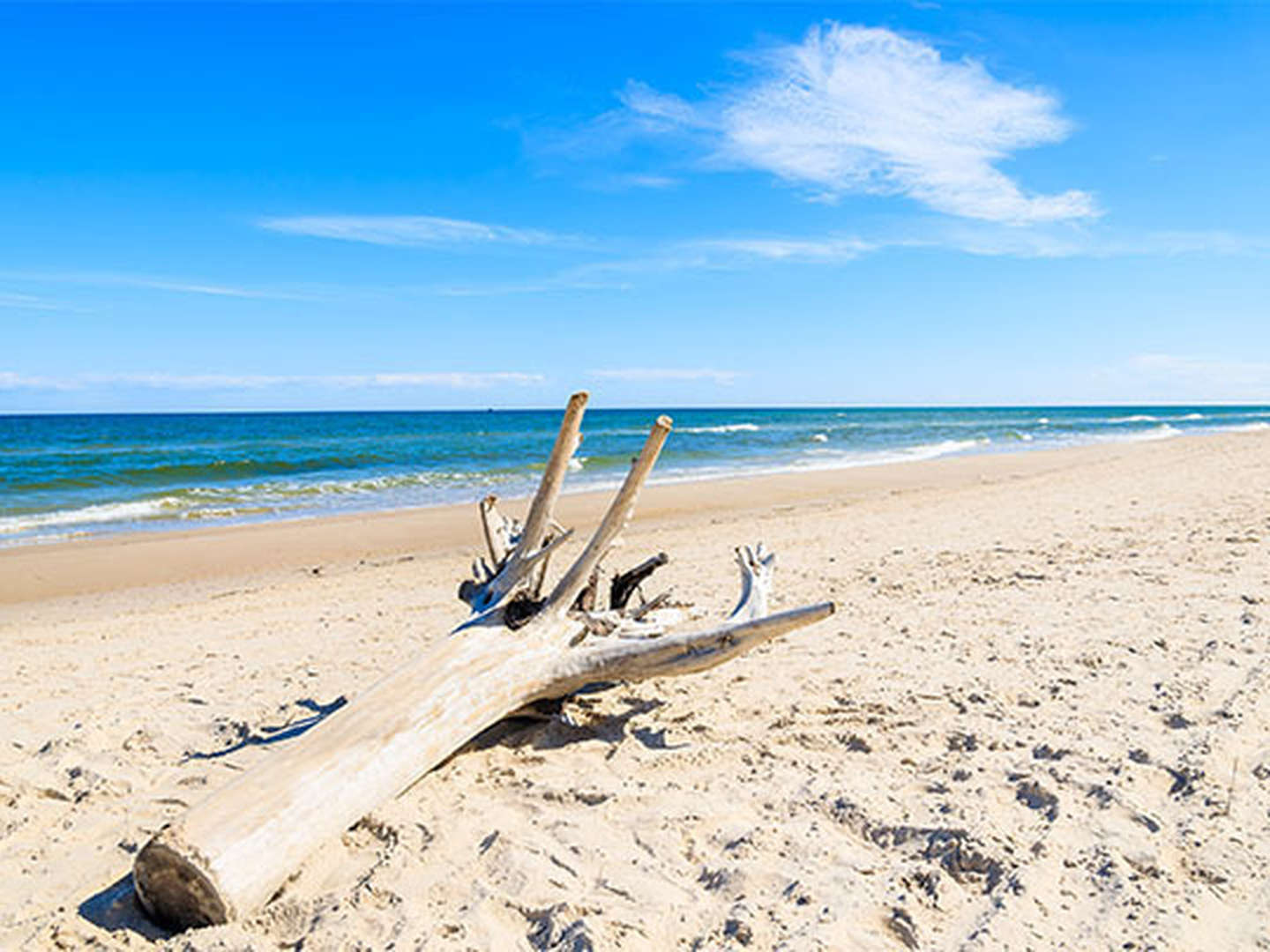 5 Nächte nach Rerik an die Ostsee.