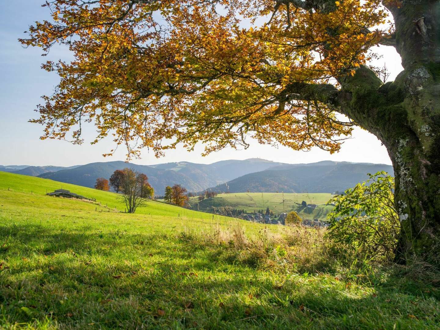 3 Tage - Urlaub im Markgräfler Traditionshotel    