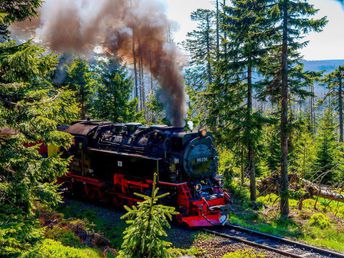 2 Tage Kurzurlaub - Mit der Dampflok auf den märchenhaften Brocken 