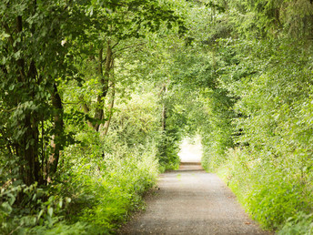 3 Tage auf dem Mountainbike durch den Westerwald touren