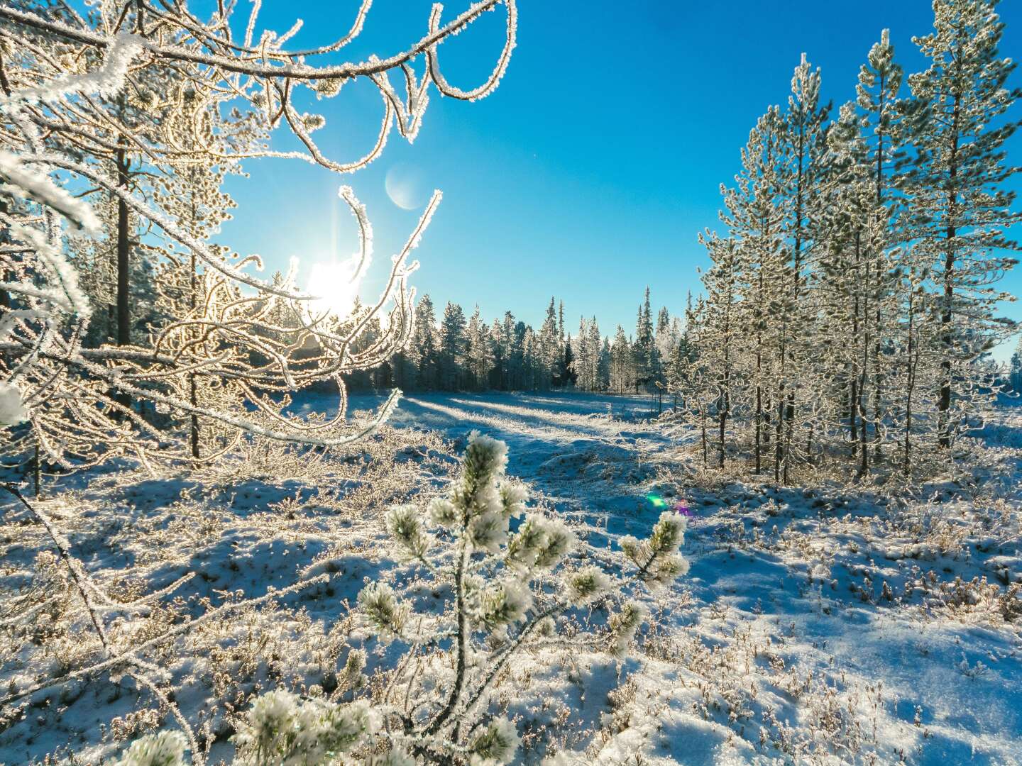 Wellness-Auszeit statt Karnevalstrubel 5 Tage