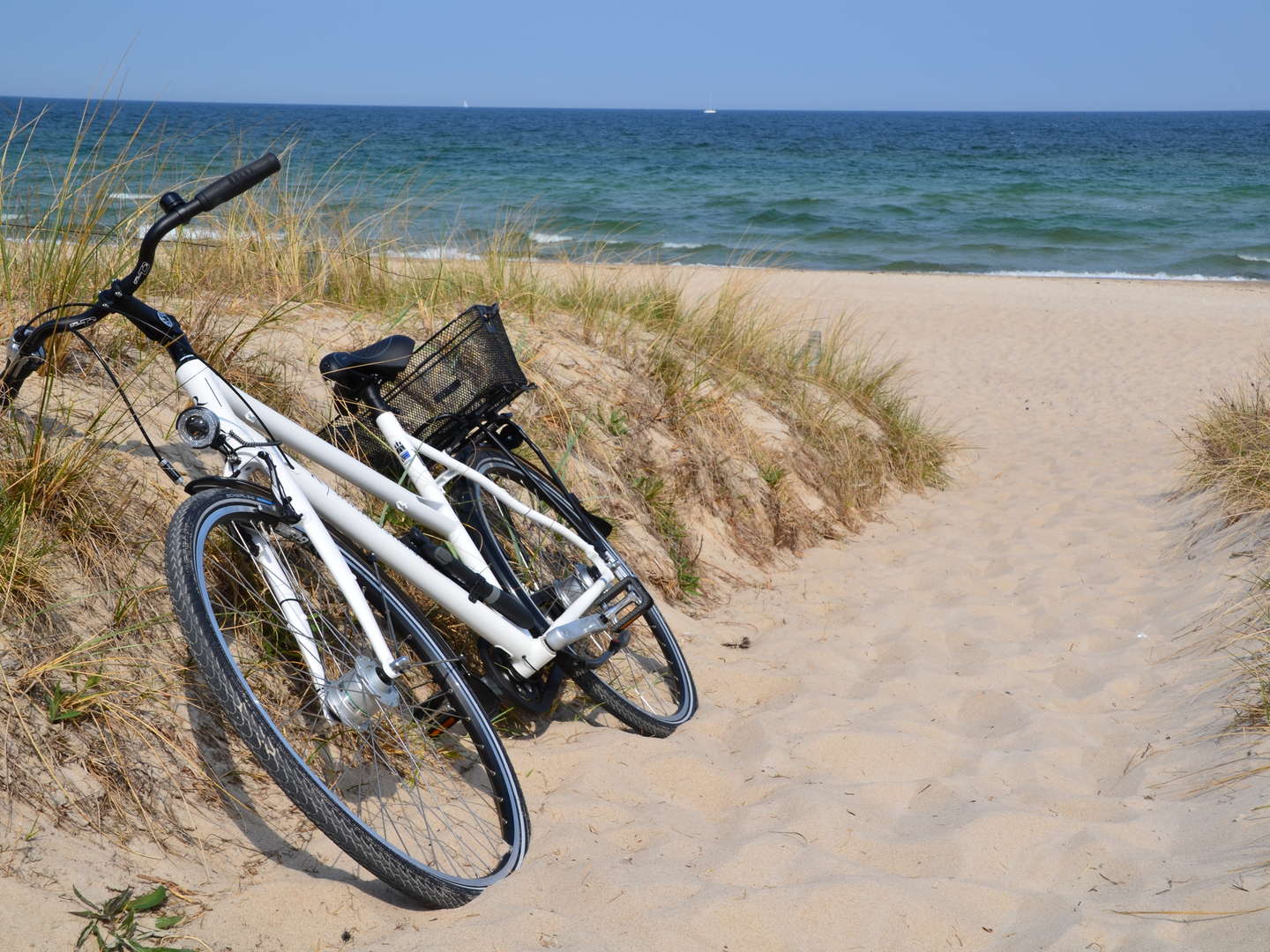 Die Basics auf Rügen | 2 Tage 