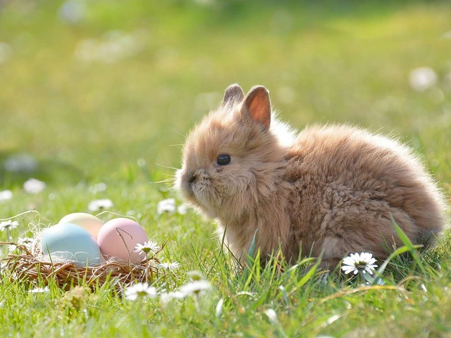 Ostern Mal Anders - inkl. Abendessen & süße Osterüberraschung