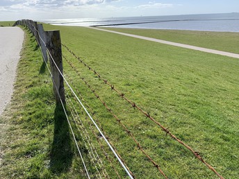 Bewegt - die Nordseeküste erkunden