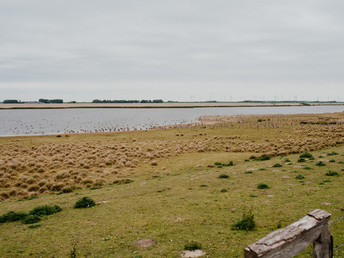 Pur - die Nordseeküste entdecken