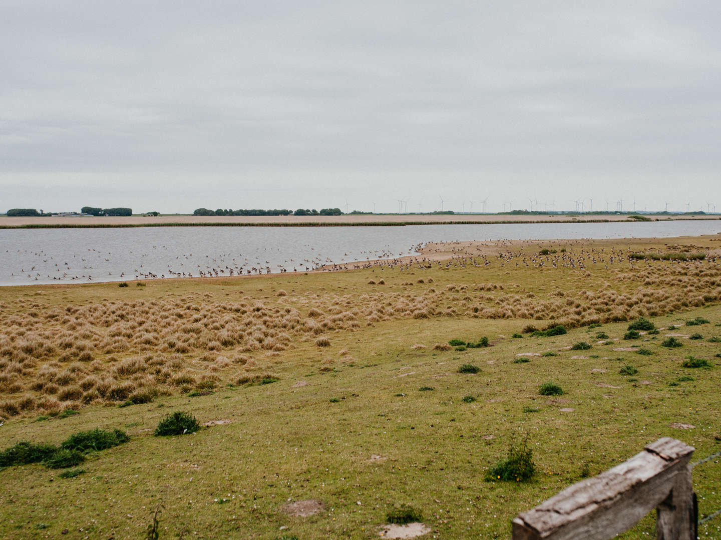 Pur - die Nordseeküste entdecken