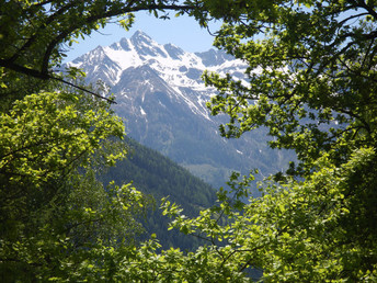 Romantische Kuscheltage im Pinzgau mit 1 Nacht im Heubettzimmer