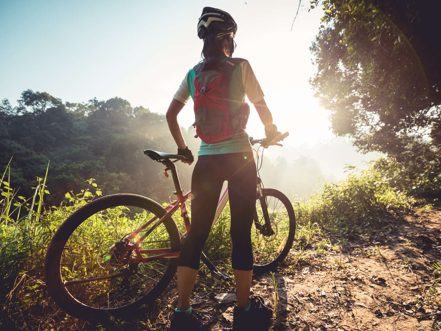 Mountainbike Urlaub inkl. Frühstück | 3 Nächte     