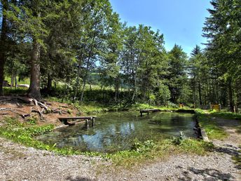 Mountainbike Kurzurlaub inkl. E-Bike im Lammertal am Tennengebirge