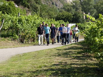 Steinfederwoche in der Wachau - Kulinarischer Genuss & Wellness | 7 Nächte