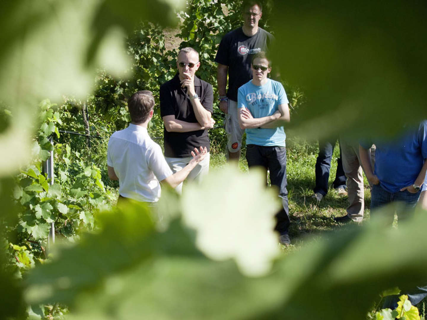 Wine-Week Kulinarik & Genuss in der Wachau | 2 Nächte  