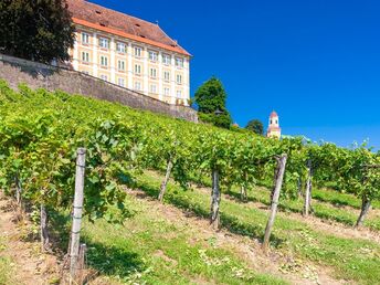 Auszeit im steirischen Schilcherland inkl. Genießerfrühstück & Stainzerhof Plus Card | 3 Nächte