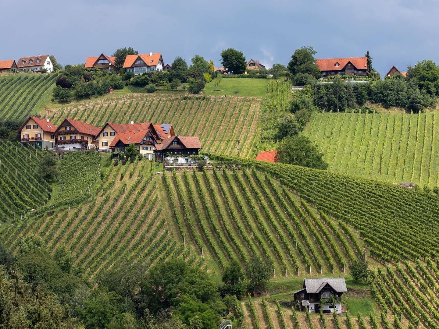  Auszeit im steirischen Schilcherland | 1 Nacht