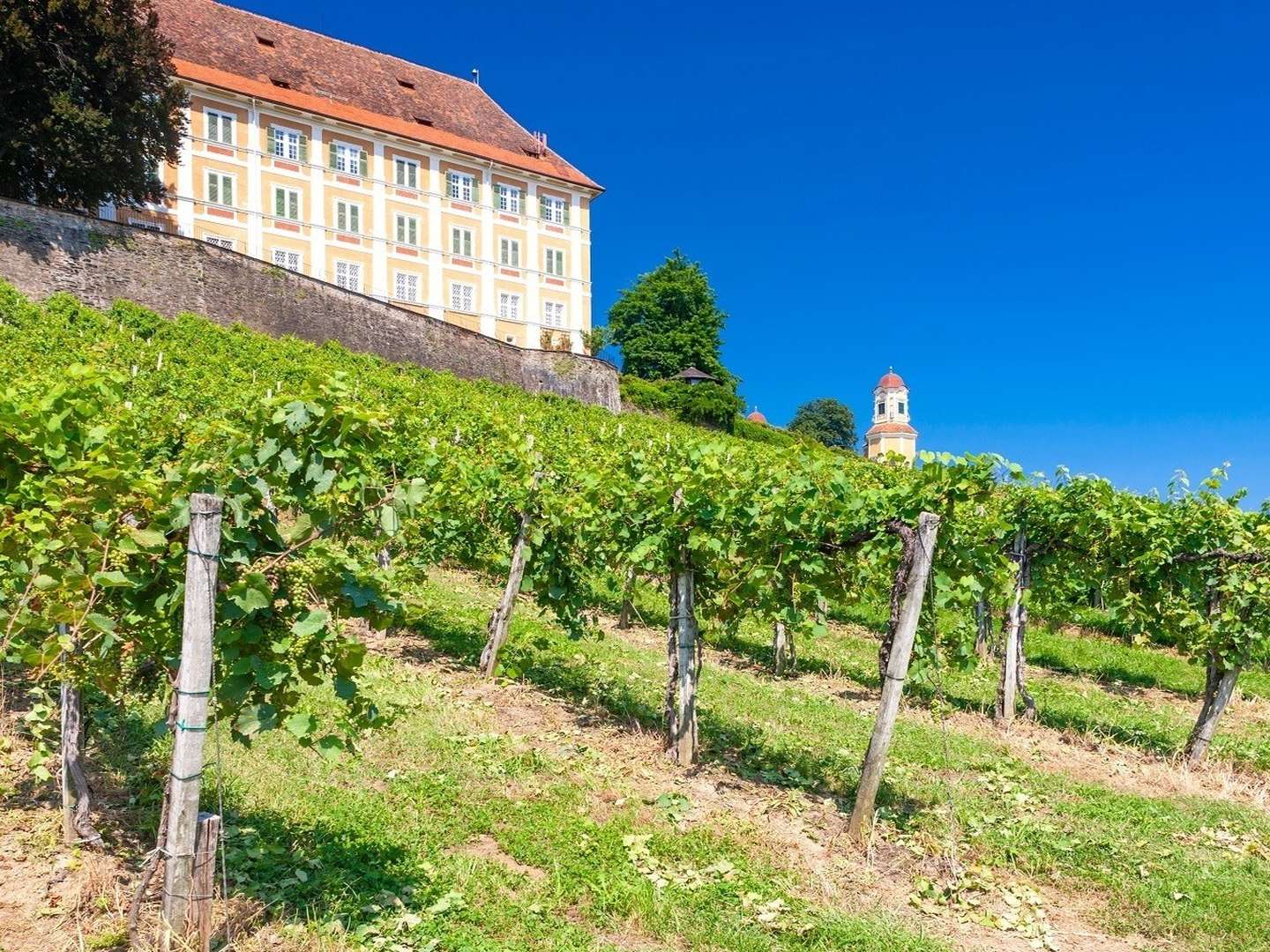 Auszeit im steirischen Schilcherland inkl. Genießerfrühstück & Stainzerhof Plus Card | 5 Nächte