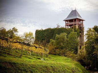 Buschenschank Radln im Thermenland Steiermark inkl. Buschenschank-Jause | 3 Nächte