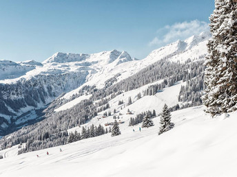 Probier’s mit Wintergemütlichkeit - Skivergnügen in Saalbach Hinterglemm int. in A 421390