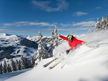 Probier’s mit Wintergemütlichkeit - Skivergnügen in Saalbach Hinterglemm int. in A 421390