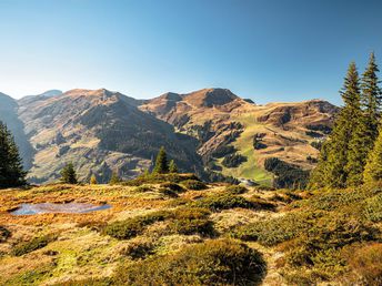 4=3 Sunny Rhapsody in Saalbach - Skivergnügen in 150 Meter 