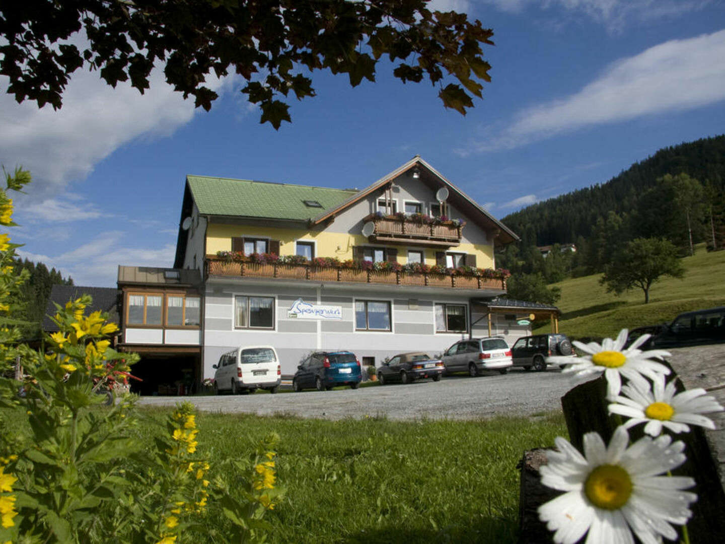 Erholung auf der Alm - Heimat der weißen Pferde 