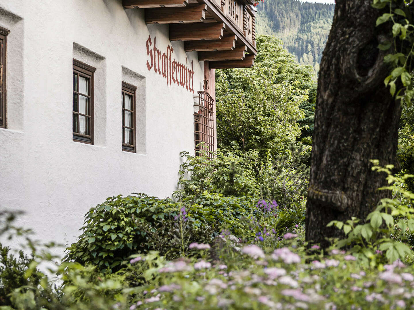 Weihnachtstage in Osttirol inkl. Galadinner | 5 Nächte