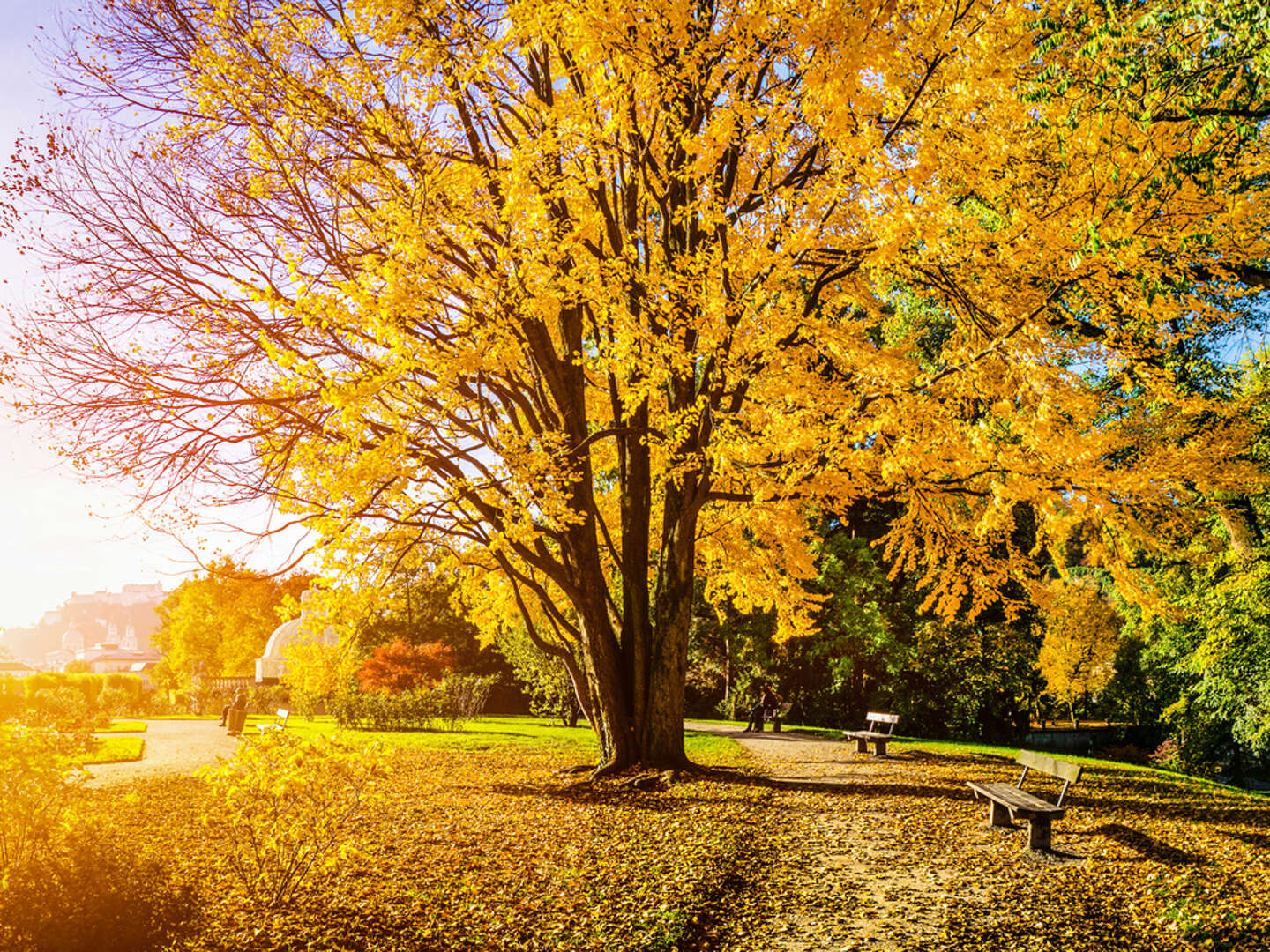 Herbstliche Aromen und Wellness in Stegersbach | 2 Nächte