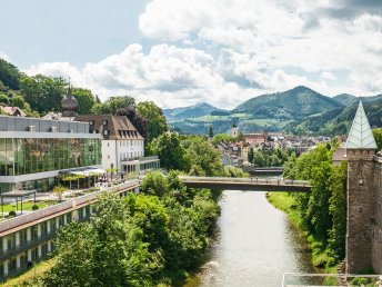 Schlosszeit im Mostviertel genießen 