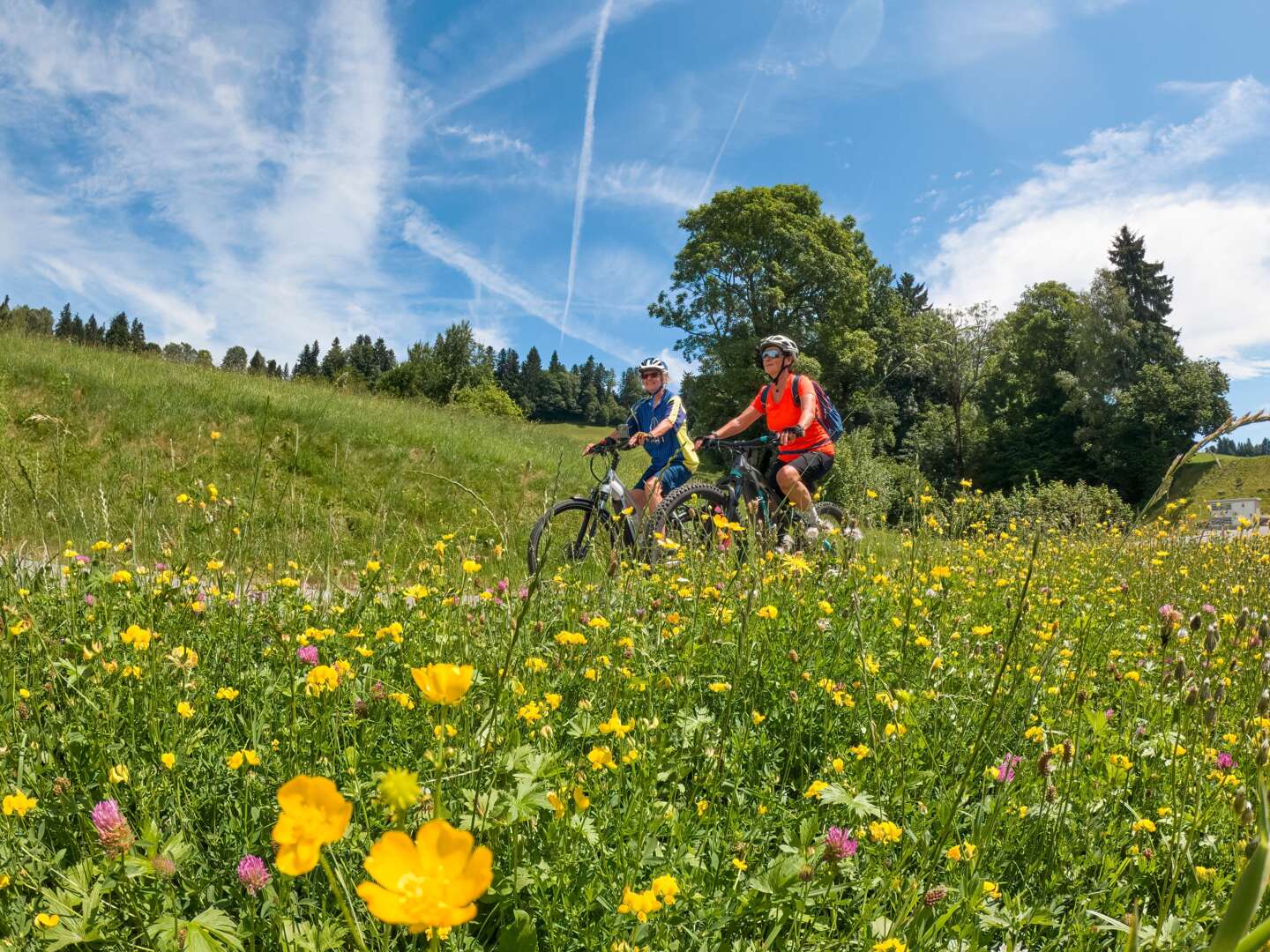 Raderlebnis....das Südburgenland entdecken