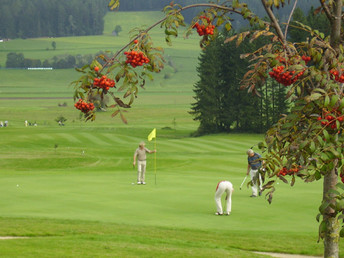 Lastminute/April Ländliche Harmonie & gelebte Tradition im Landhotel in der Oststeiermark | 5 Tage 