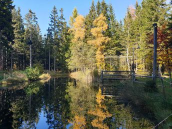 Lastminute/April Ländliche Harmonie & gelebte Tradition im Landhotel in der Oststeiermark | 5 Tage 