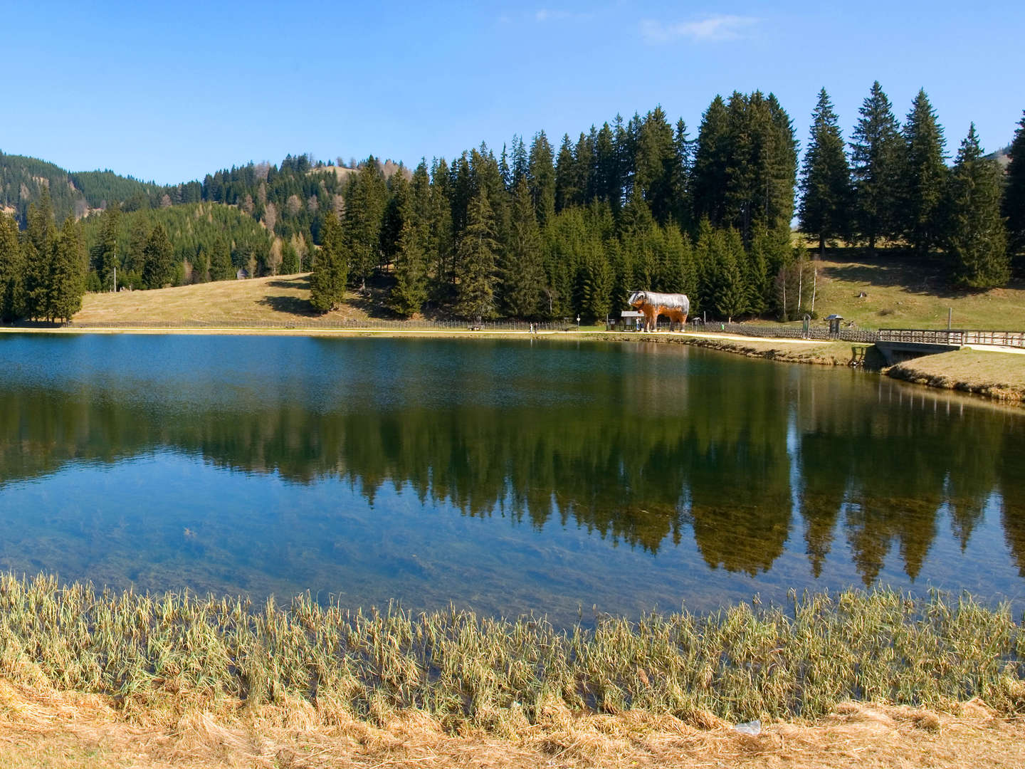 Lastminute/April Ländliche Harmonie & gelebte Tradition im Landhotel in der Oststeiermark | 5 Tage 