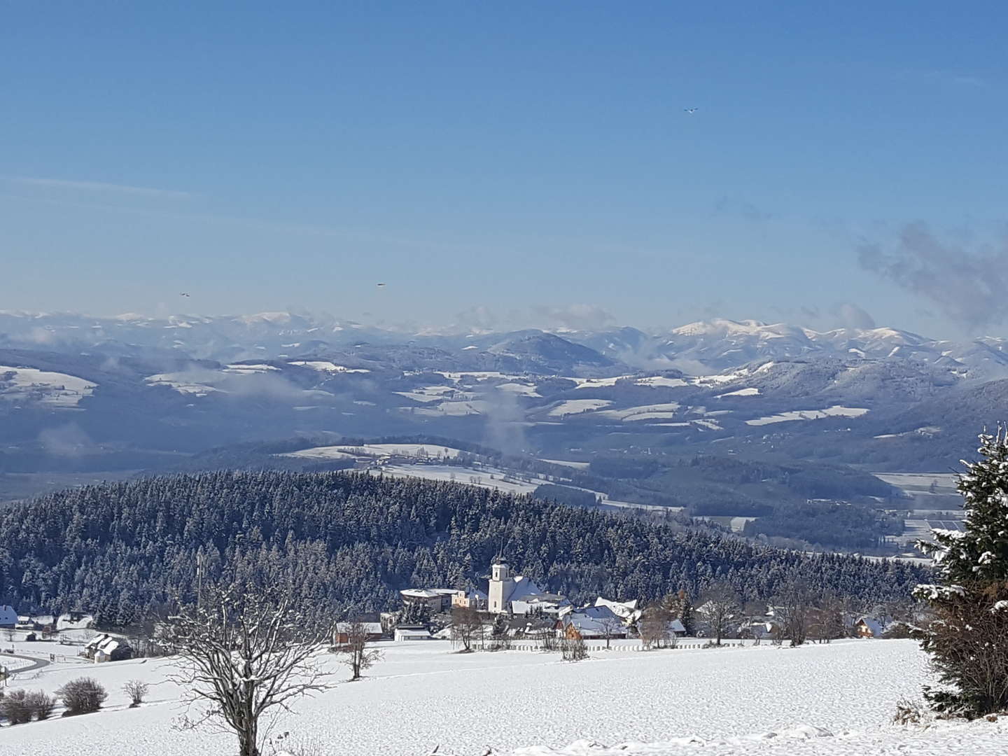 Lastminute/April Ländliche Harmonie & gelebte Tradition im Landhotel in der Oststeiermark | 5 Tage 