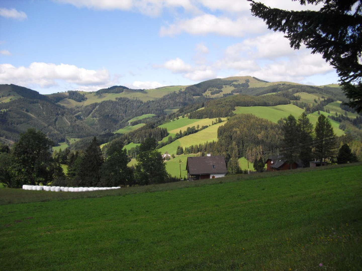 Lastminute/April Ländliche Harmonie & gelebte Tradition im Landhotel in der Oststeiermark | 5 Tage 