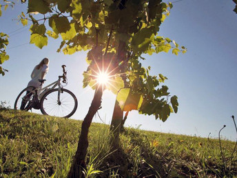 Romantischer Kurzurlaub - Komposition der Liebe in Loipersdorf 