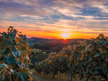 4 Tage Auszeit im steirischen Panoramahof Loipersdorf inkl. Eintritt in das Fitnessstudio