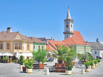 Weihnachtszeit in Rust am Neusiedler See 