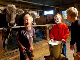 Bewegungscamp für Kids im Bregenzerwald inkl. Programm