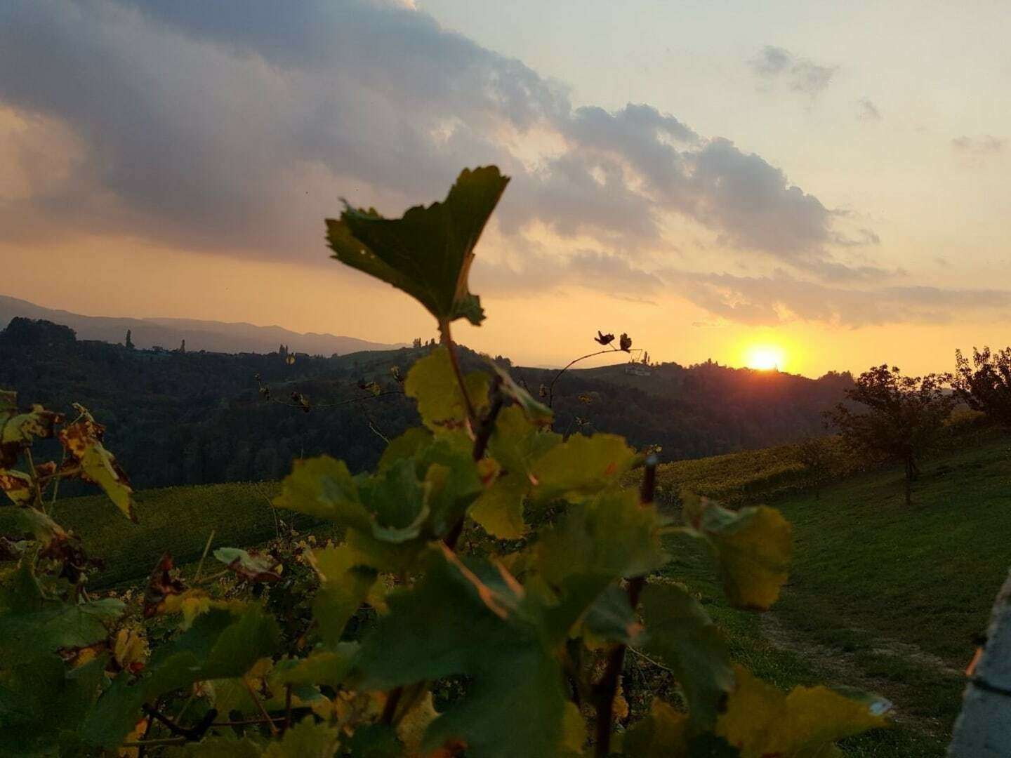 Kurzurlaub in der Steiermark - inkl. steirischer Brettljause