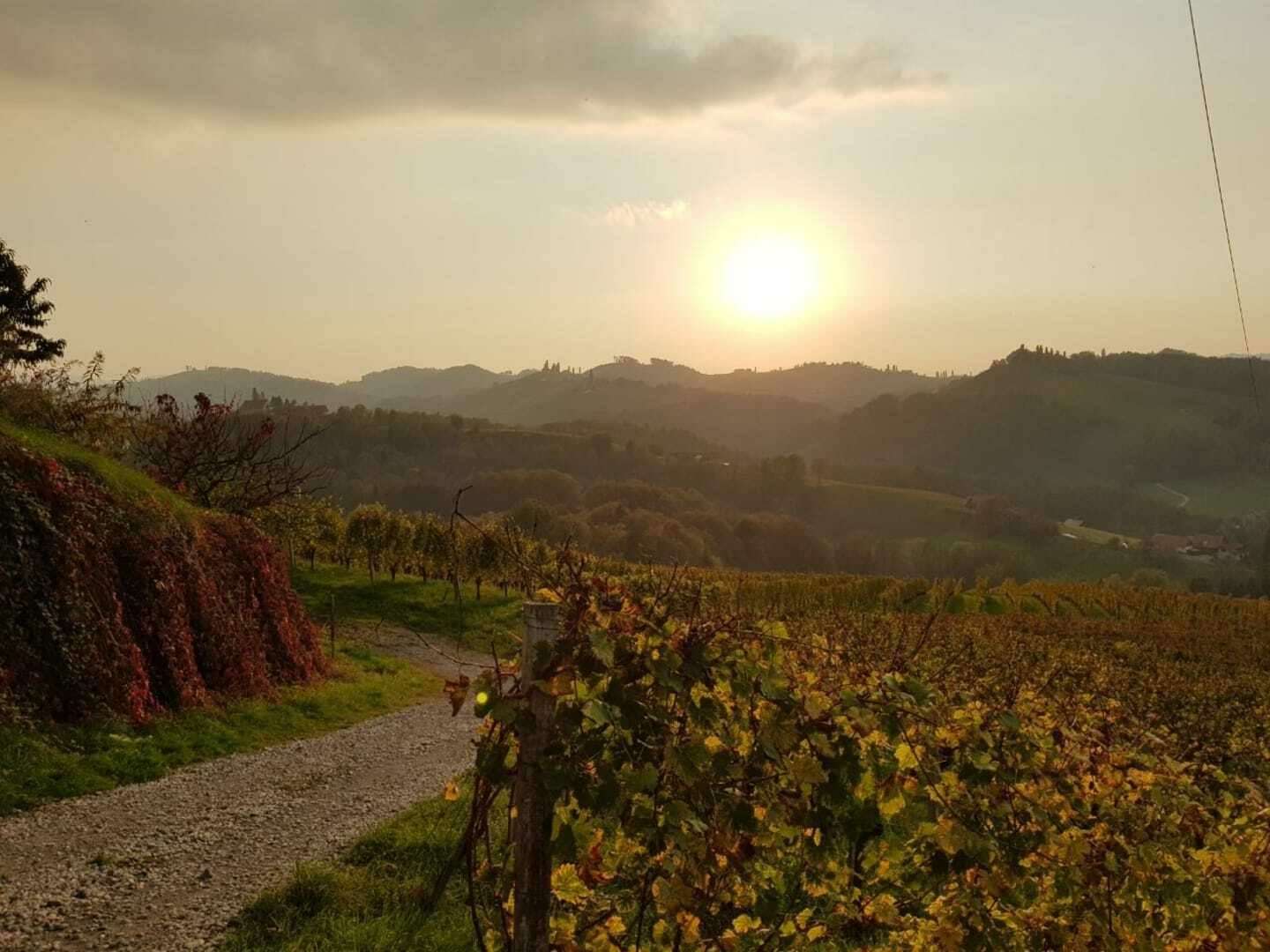 Kurzurlaub in der Steiermark - inkl. steirischer Brettljause