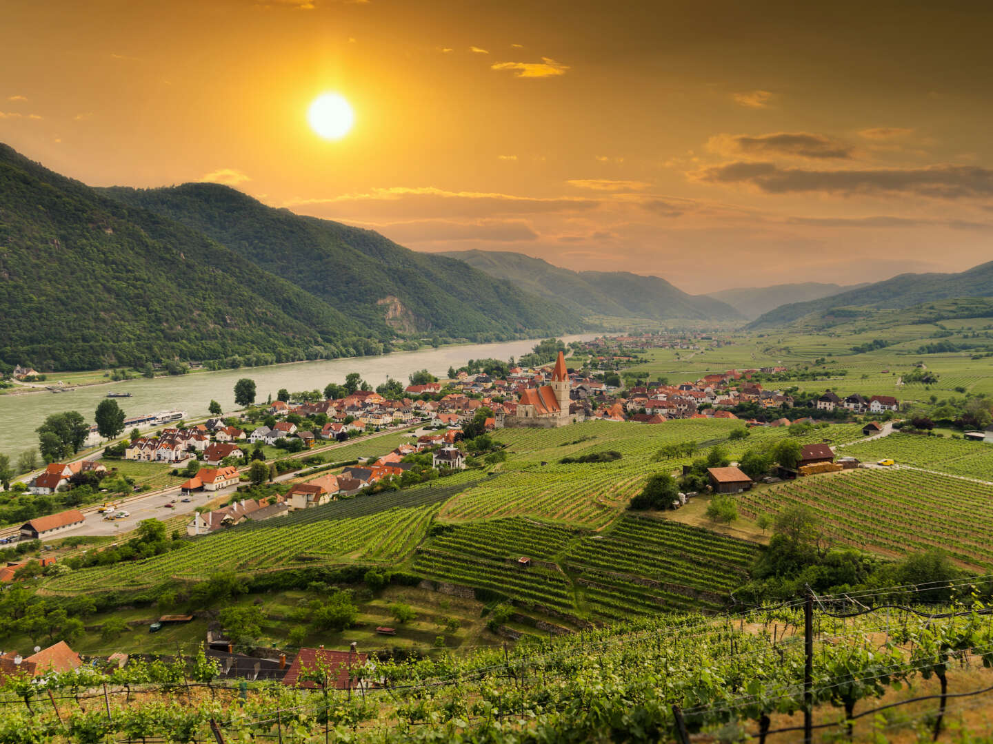 Kurzgenuss in der Wachau - inkl. Marillenfrizzante & Stadtbummel | 2 Nächte 