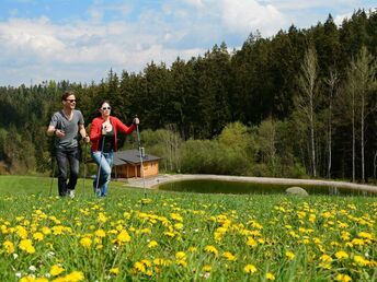 Endlich wieder Kurzurlaub im Waldviertel inkl. 5-Gang Menü | 4 Nächte