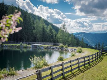 Tradition & Natur Pur in den Schladminger Bergen | 6 Tage  inkl. Halbpension  