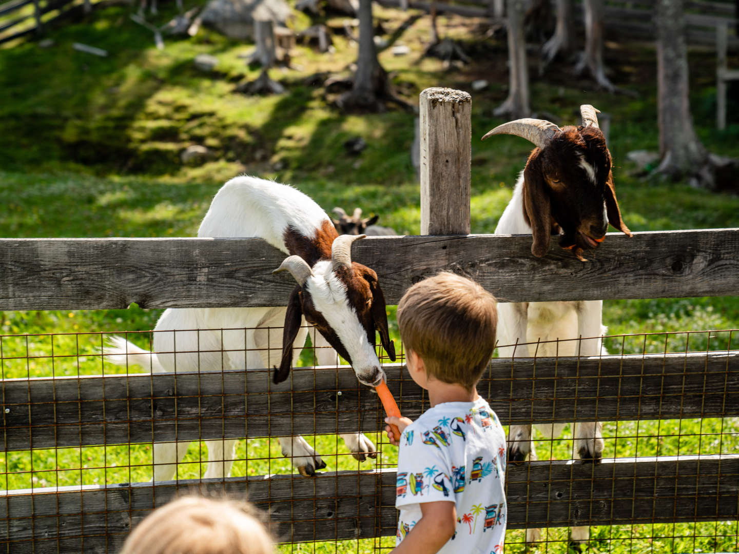 Tradition & Natur Pur in den Schladminger Bergen | 6 Tage  inkl. Halbpension  