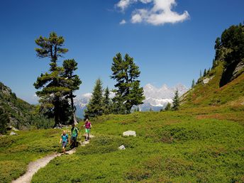 Sommerurlaub in Schladming | 7 Tage inkl. Sommercard mit Bergbahnen, Wanderbusse, uvm.