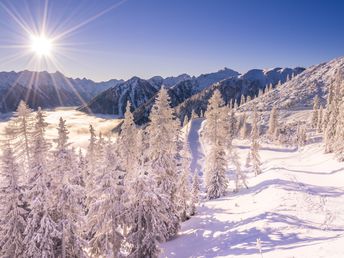 7=6 Schladming Sommer Special inkl. Bergbahnen & Wanderbussen | 7 Nächte