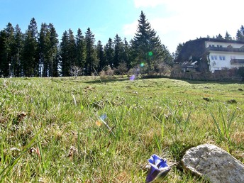 Raus in die Natur - Kurzurlaub auf der Alm im Lavanttal | 2 Nächte 