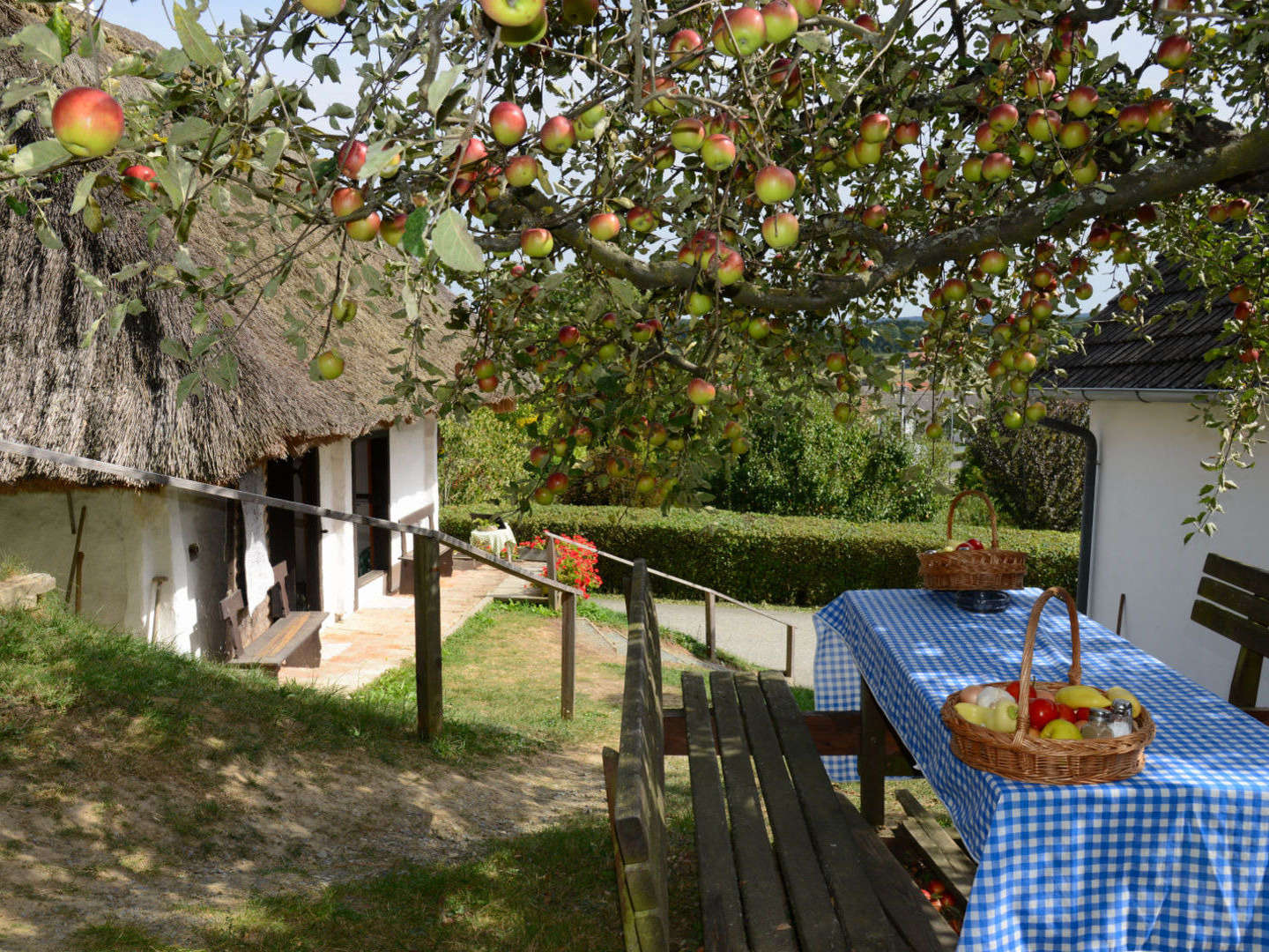 Urlaub in der Heimat des Uhudlers | 4 Nächte inkl. Vorteilswelt Burgenland Card